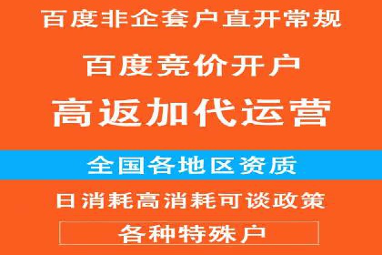 行业翘楚的sem代运营机构：成功案例解析